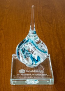2015 Brightspace Excellence Award