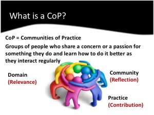 What is the Community of Practice?